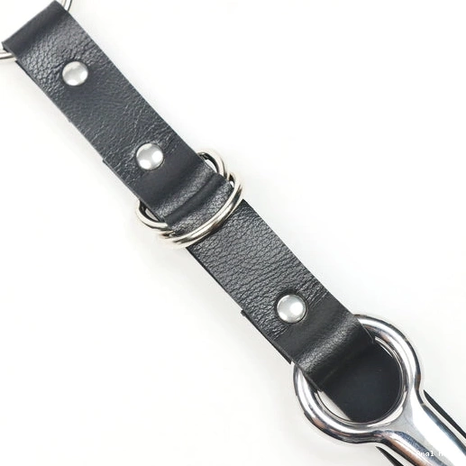 Hook Leash with and 5853 Collar Kinky Anal EverydayUse 0714